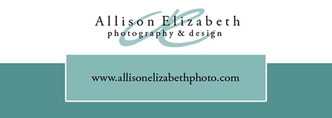 Allison Elizabeth Photography & Design