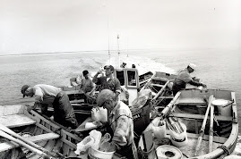 Pescadores de Sesimbra