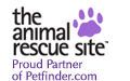 Click daily to get free food for homeless animals