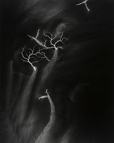 [sugimoto_lightning_03.jpg]