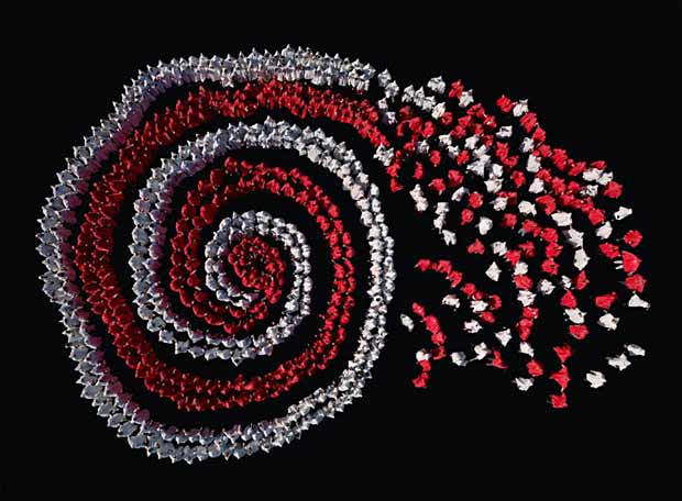 [2008+Espiral+de+solidaridad.jpg]