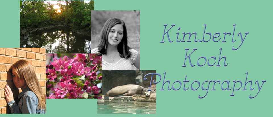 Kimberly Koch Photography