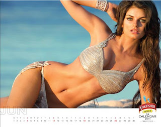 Kingfisher Calendar 2011 - June