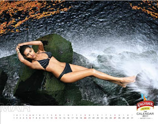 Kingfisher Calendar 2011 - March