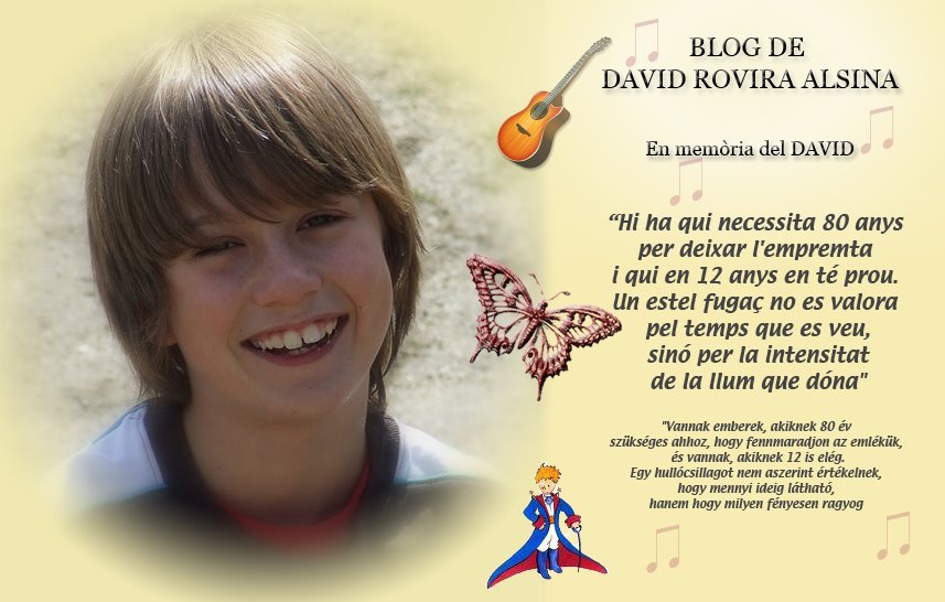 Blog de David copia seguridad