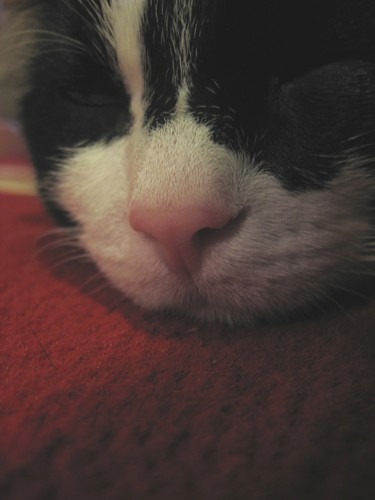 [Anninnenaoikeinlahelta.jpg]