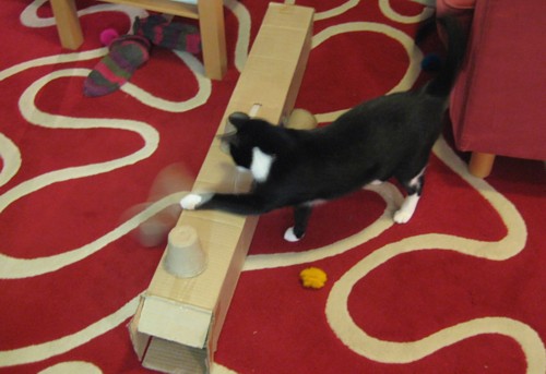 [Anni_kuppinurin_joulukuusen_laatikolta.jpg]