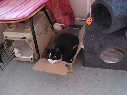 [Anni_laatikossa_3.jpg]