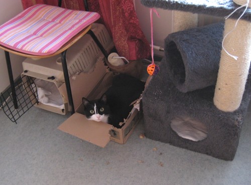 [Anni_laatikossa_4.jpg]