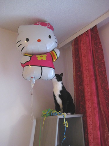 [Anni_Hello_Kitty_pallo.jpg]