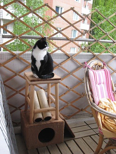 [Anni_teline_parvekkeella.jpg]