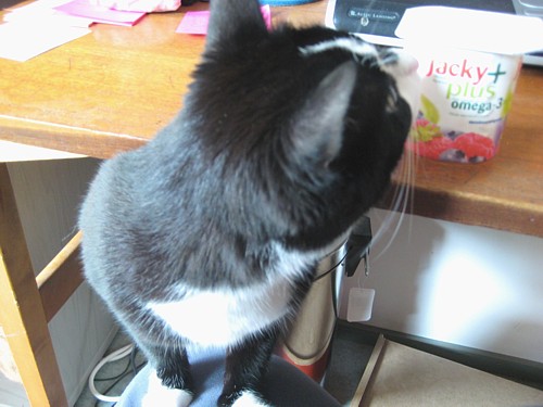 [Anni_anna_nyt_sita_jugurttia.jpg]