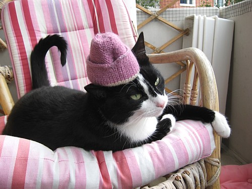 [Anni_hattu_paassa.jpg]