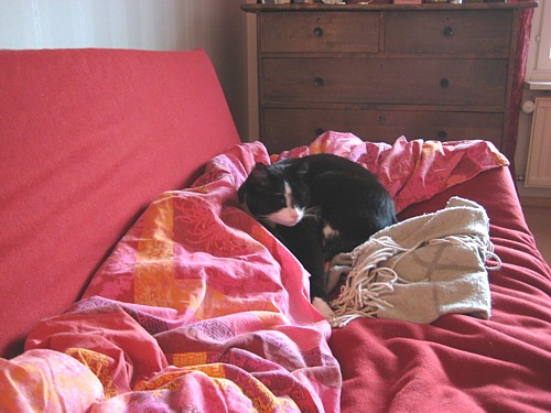 [Anni_sohvalla_peiton_paalla_paikkareilla.jpg]