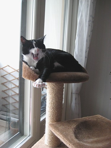 [Anni_kiipeilypuuntasolla.jpg]