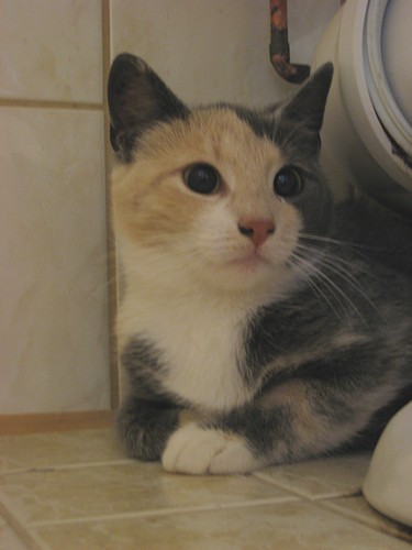 [kissa09_01.jpg]