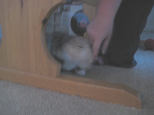 [Sinni_antaa_koskea_todistusaineisto.jpg]