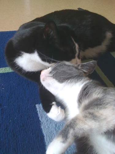 [Anni_pesee_Sinnia.jpg]