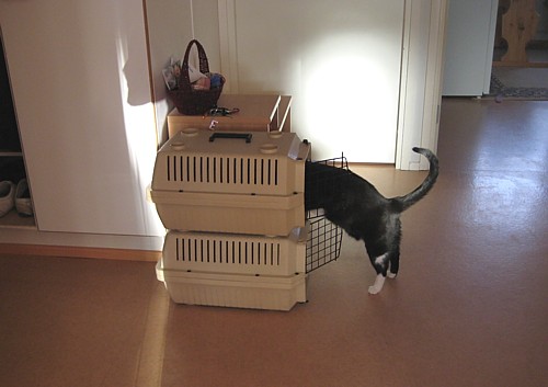 [Anni_kahden_kerroksen_vakea.jpg]