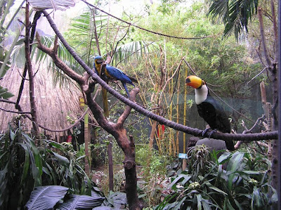 Ecosistemas La Jungla 