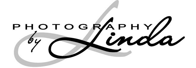 Photography by Linda