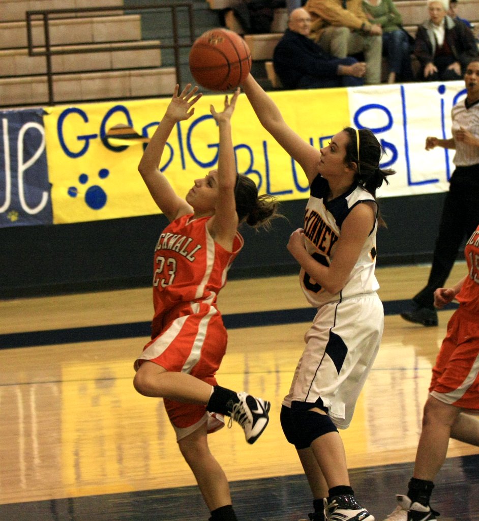 Lady Jacket Hoops Jackets Tame Lions