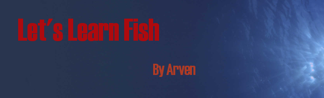 Let's Learn Fish