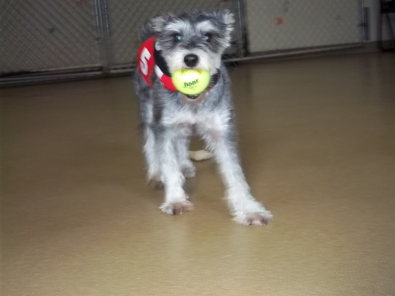 Best Friends' Rocky Hill Blog