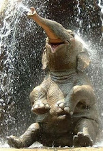 .elephant smile.