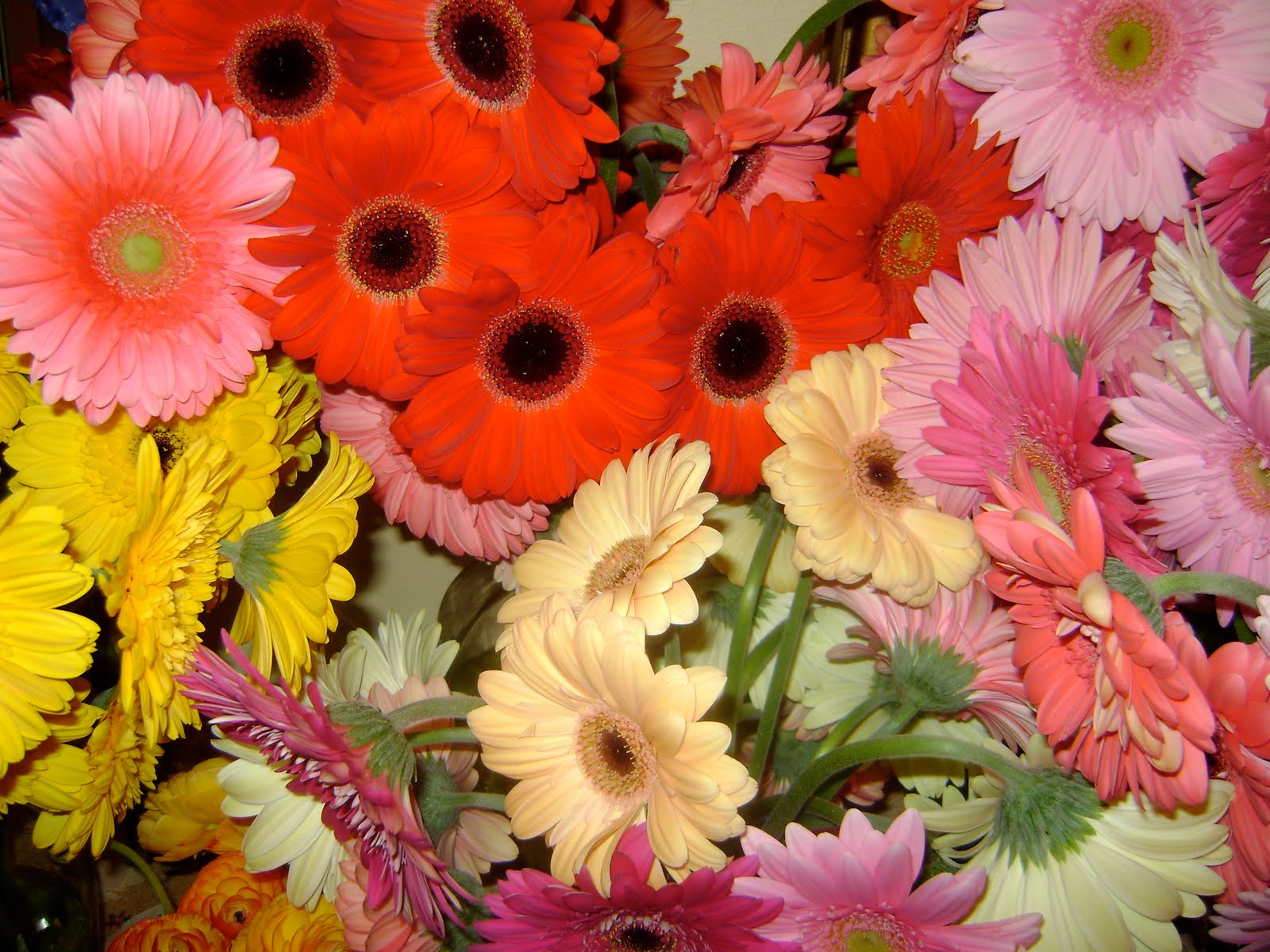 fast pics2 the yellow wallpaper an autobiography of emotions by charlotte perkins