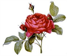 The Rosarian