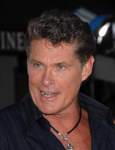 Former Baywatch star David Hasselhoff's exwife has been arrested on