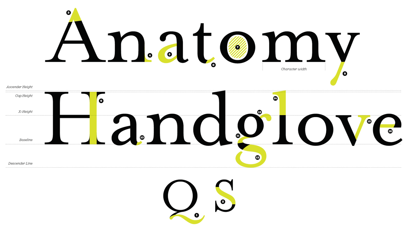 Anatomy Of Typography Worksheet Anatomy Of Typography Worksheet