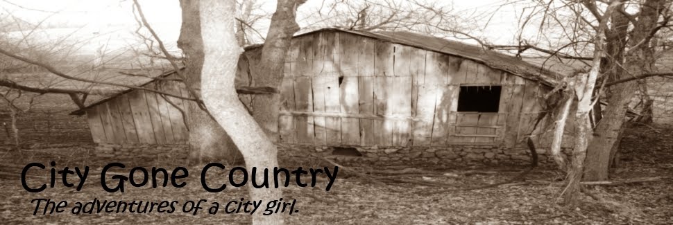 City Gone Country