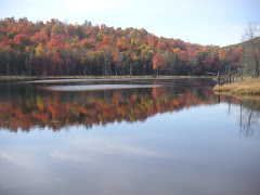 Vermont - October 2008