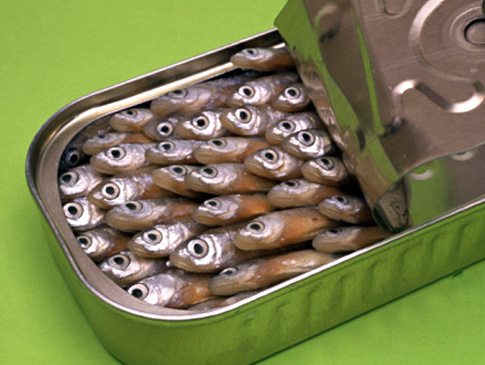 alg_sardines_can.jpg