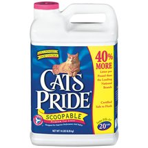 [cats+pride.jpg]