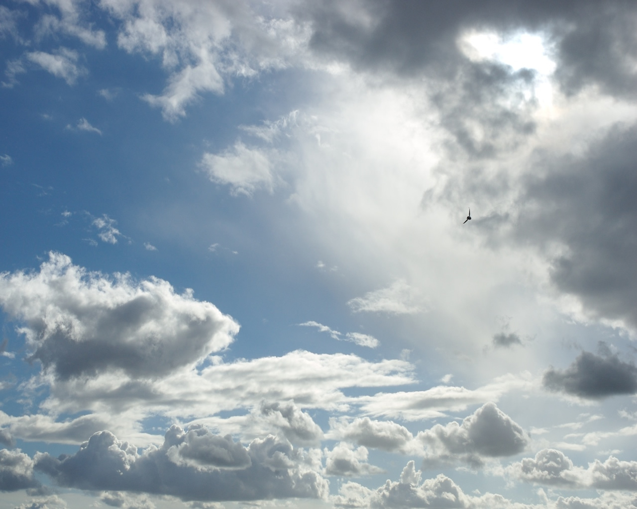 Look at the clouds it rain soon. Cumulus clouds from below. one flying cloud. clouds from below.