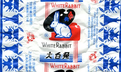[white+rabbit.jpg]