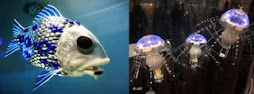 pirania y medusas robots