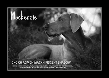 RIP Mackenzie