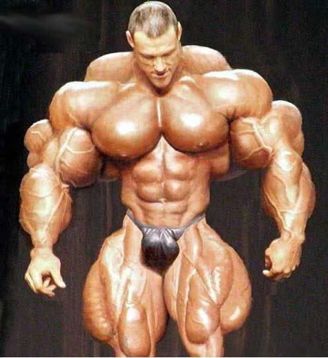 [muscles.jpg]