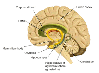 Panic Attack Freedom!: August 2009