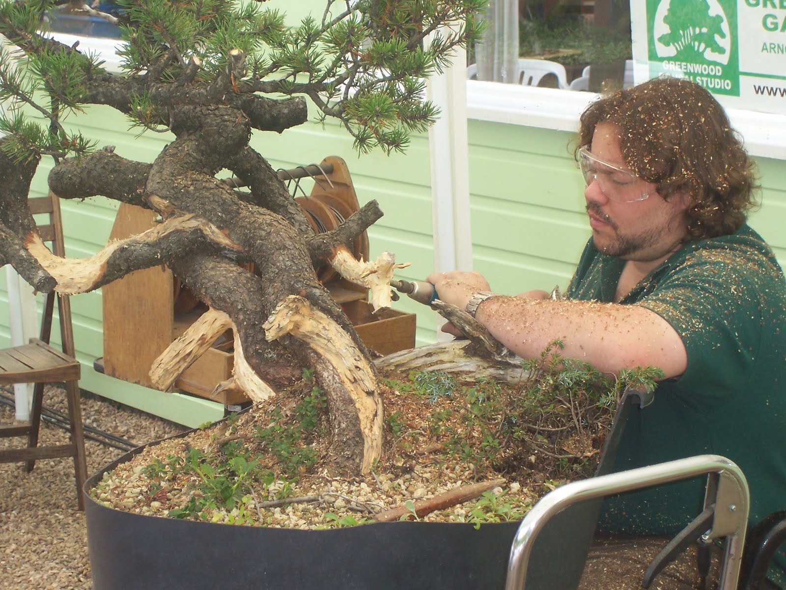 MiKo Bonsai Greenwoods Bonsai Bash 2010