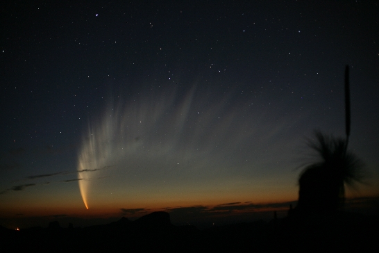 [comet_mcnaught_big.jpg]