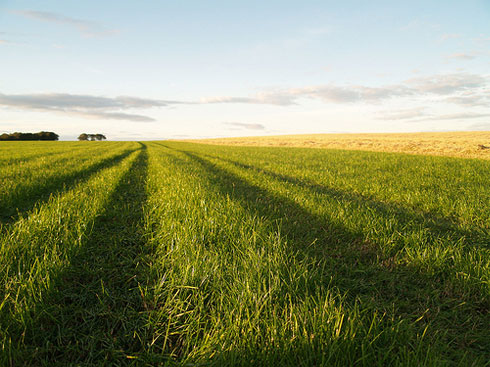 [img_movemiddle_1.jpg]