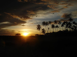 Paradise on earth