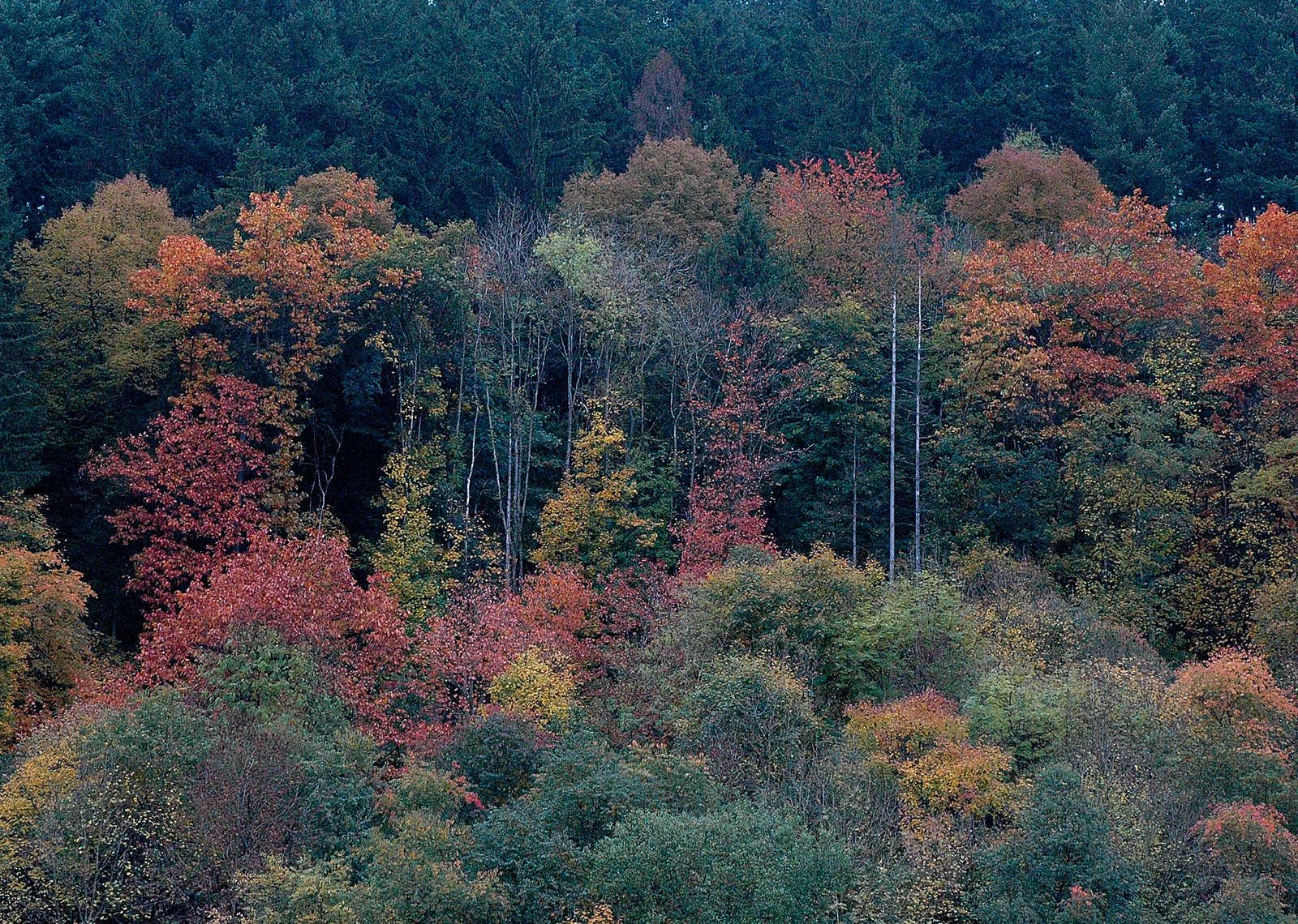 [Herfst.JPG]