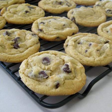[choco+chip+cookies+1+450.jpg]