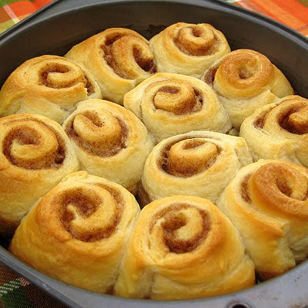 [mini+cinni's+1+450.jpg]